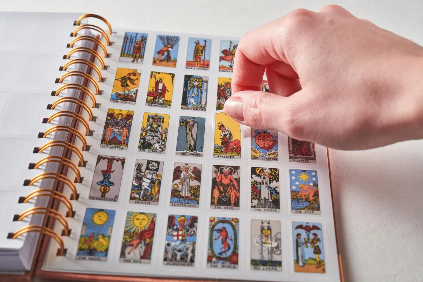 🔮Tarot Learning Set for Beginners