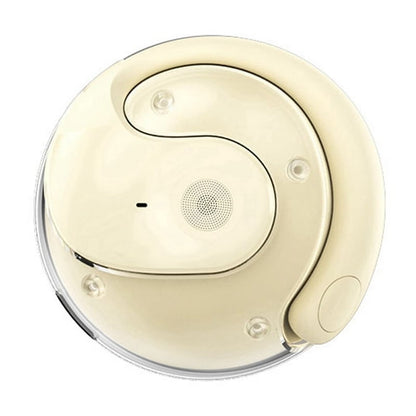 Real-Time 3-in-1 Translation Earbuds