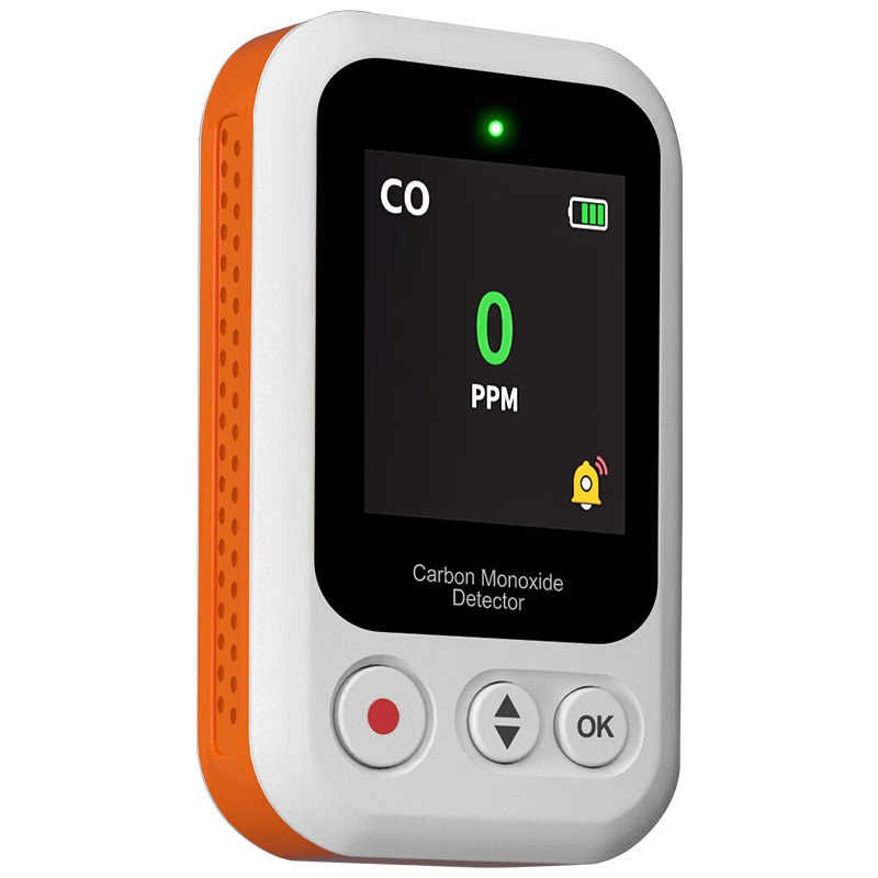 Carbon Monoxide Detector Alarm